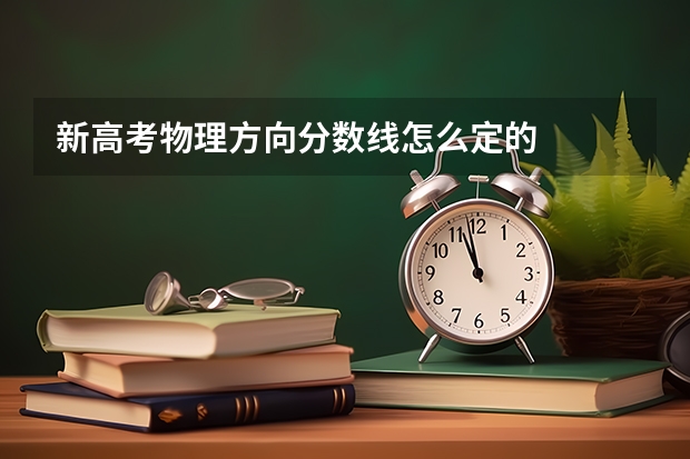 新高考物理方向分数线怎么定的