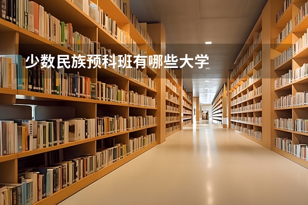 少数民族预科班有哪些大学