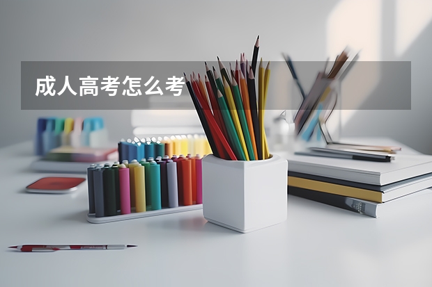 成人高考怎么考