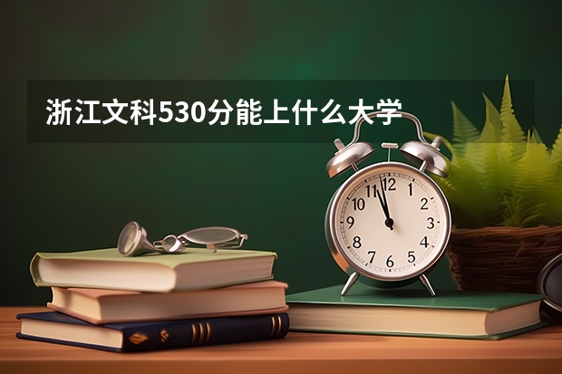 浙江文科530分能上什么大学
