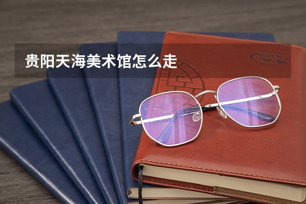 贵阳天海美术馆怎么走