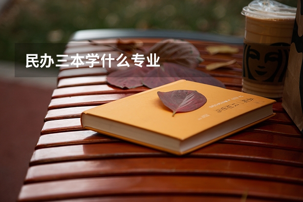 民办三本学什么专业