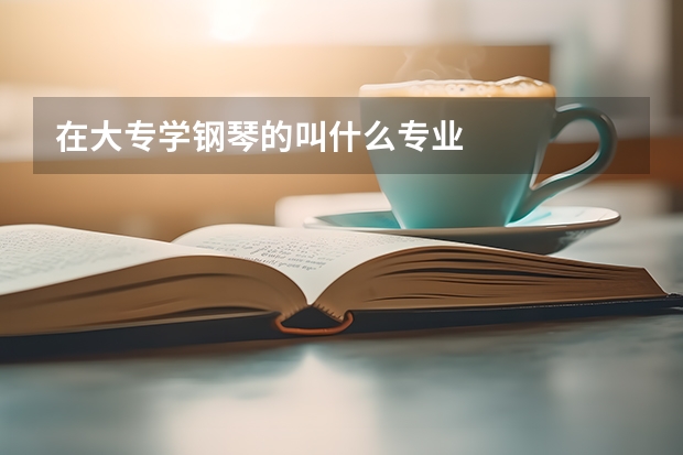 在大专学钢琴的叫什么专业