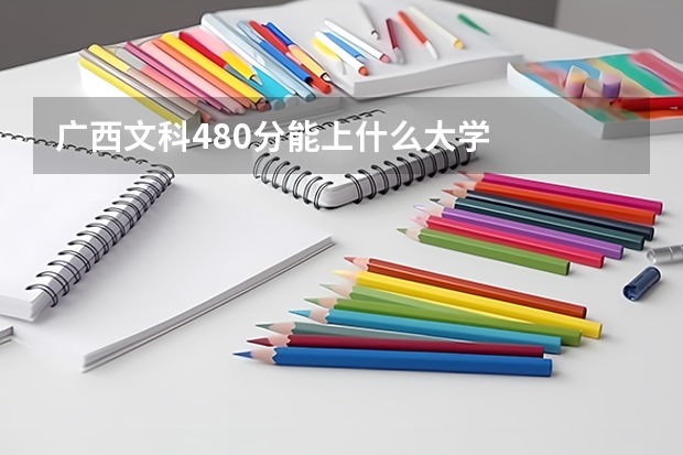 广西文科480分能上什么大学