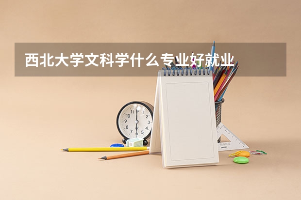 西北大学文科学什么专业好就业