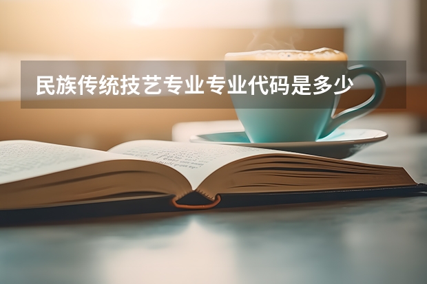 民族传统技艺专业专业代码是多少