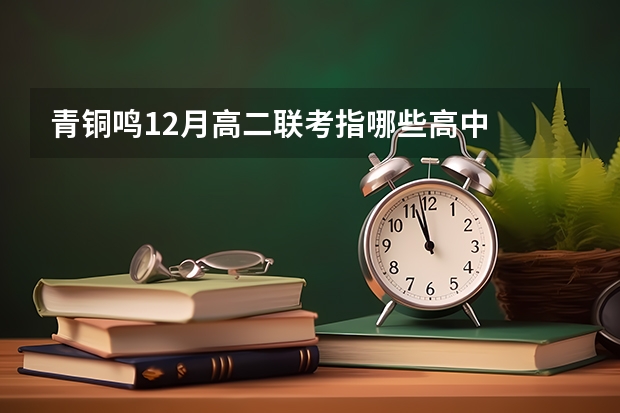 青铜鸣12月高二联考指哪些高中
