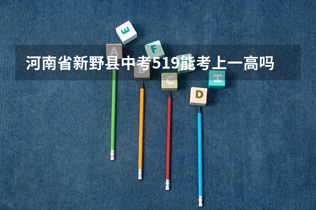 河南省新野县中考519能考上一高吗