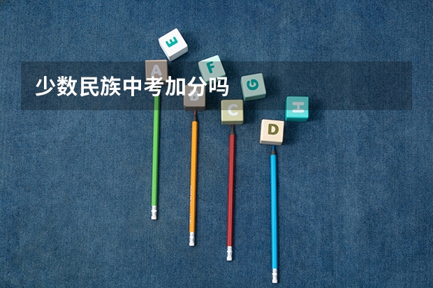 少数民族中考加分吗