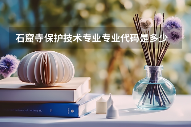 石窟寺保护技术专业专业代码是多少