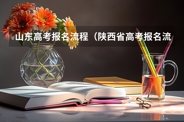 山东高考报名流程（陕西省高考报名流程图）