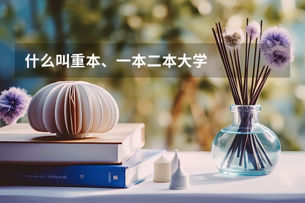 什么叫重本、一本二本大学