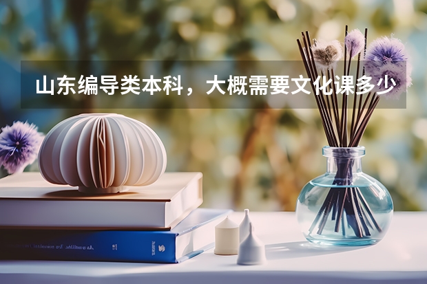 山东编导类本科，大概需要文化课多少分？