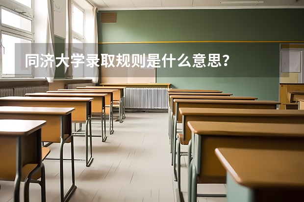 同济大学录取规则是什么意思？