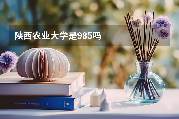 陕西农业大学是985吗