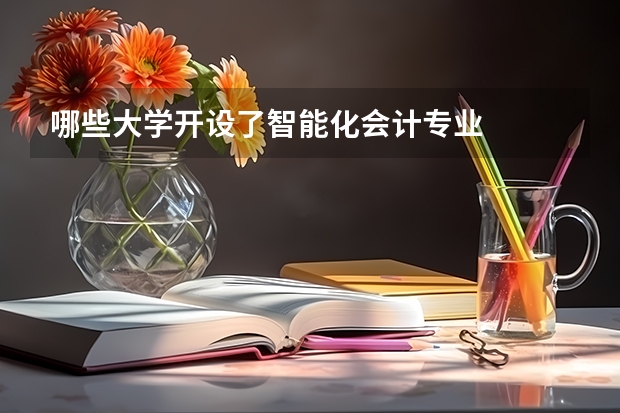 哪些大学开设了智能化会计专业