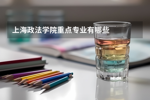 上海政法学院重点专业有哪些