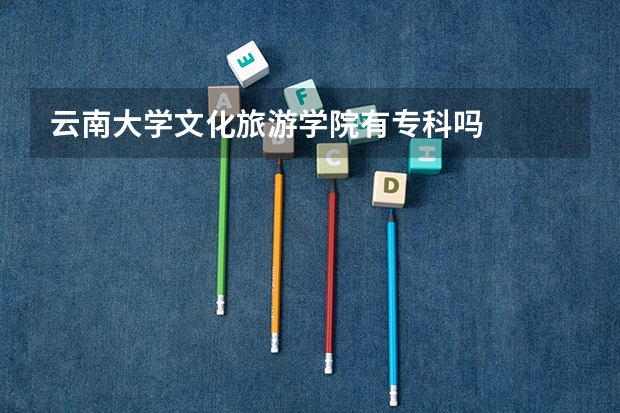 云南大学文化旅游学院有专科吗