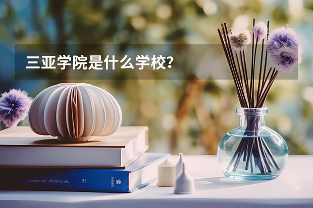 三亚学院是什么学校?