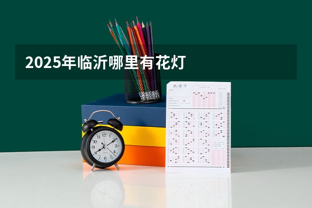 2025年临沂哪里有花灯