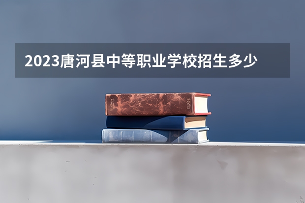 2023唐河县中等职业学校招生多少人 唐河县中等职业学校录取分数多少