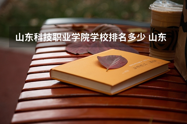 山东科技职业学院学校排名多少 山东科技职业学院省内排第几