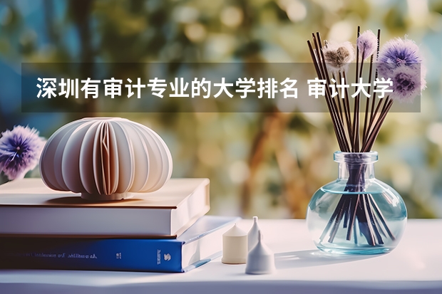 深圳有审计专业的大学排名 审计大学排名