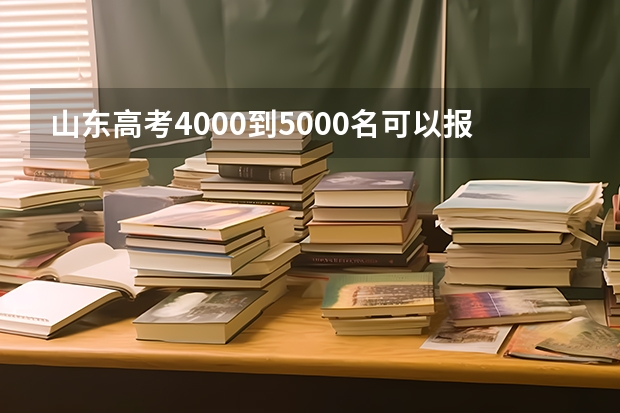 山东高考4000到5000名可以报考什么大学?