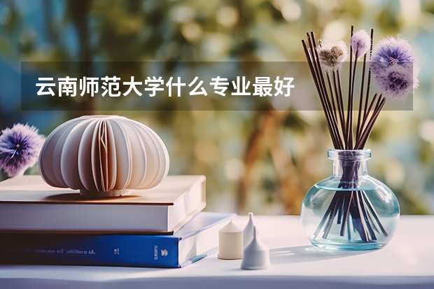 云南师范大学什么专业最好