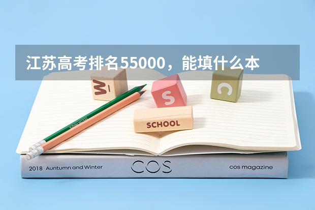 江苏高考排名55000，能填什么本二院校
