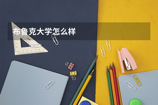 布鲁克大学怎么样