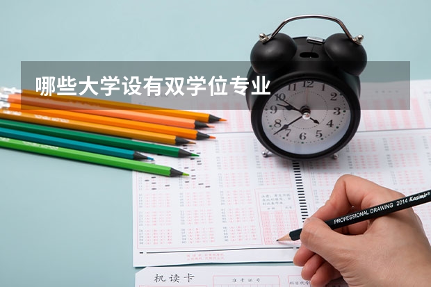 哪些大学设有双学位专业