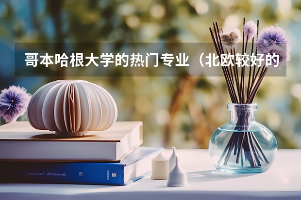 哥本哈根大学的热门专业（北欧较好的工科大学）