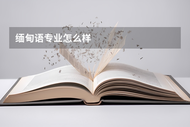 缅甸语专业怎么样