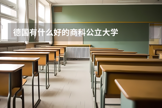 德国有什么好的商科公立大学