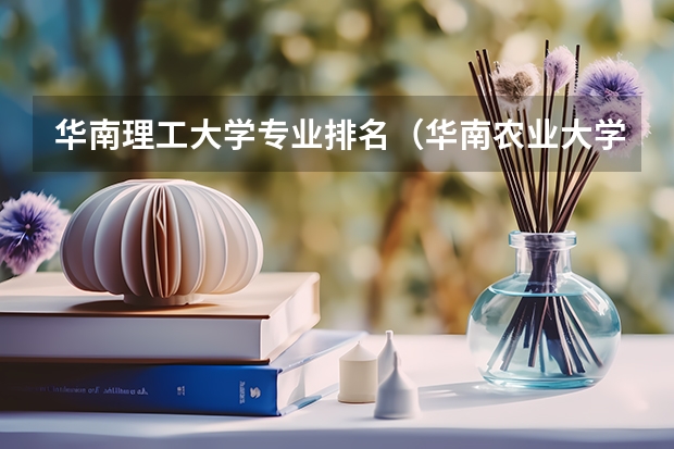 华南理工大学专业排名（华南农业大学汉语言文学专业排名）