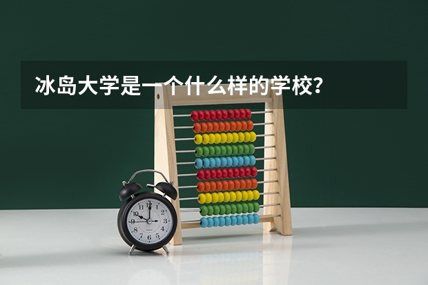 冰岛大学是一个什么样的学校？