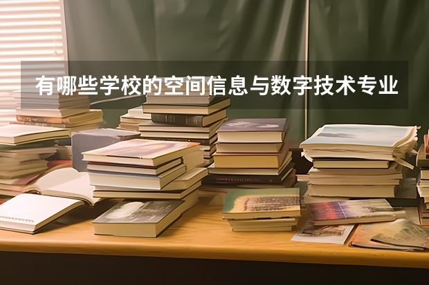 有哪些学校的空间信息与数字技术专业比较出名?