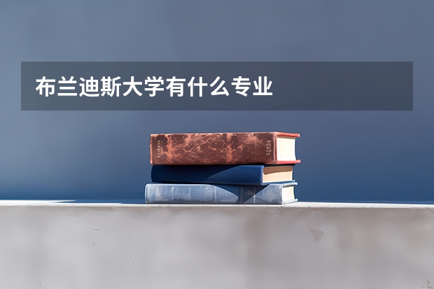 布兰迪斯大学有什么专业
