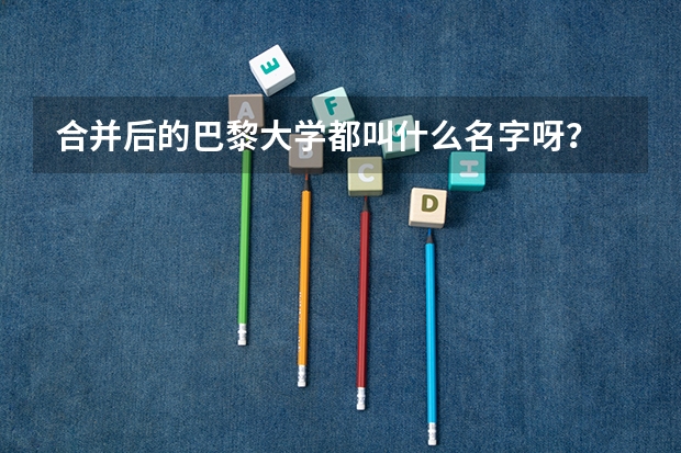 合并后的巴黎大学都叫什么名字呀？