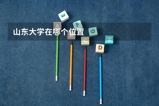 山东大学在哪个位置