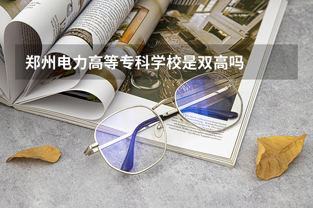 郑州电力高等专科学校是双高吗
