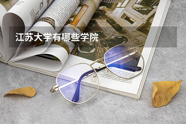 江苏大学有哪些学院