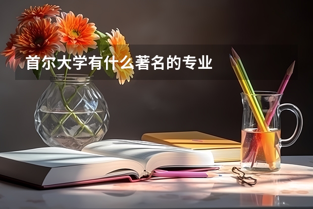 首尔大学有什么著名的专业