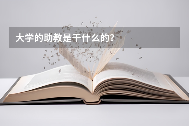 大学的助教是干什么的？