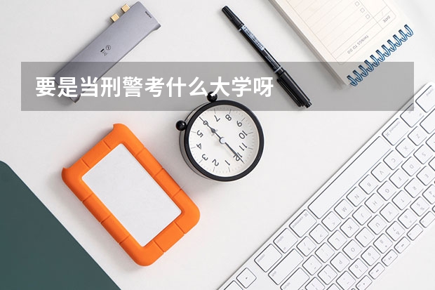 要是当刑警考什么大学呀