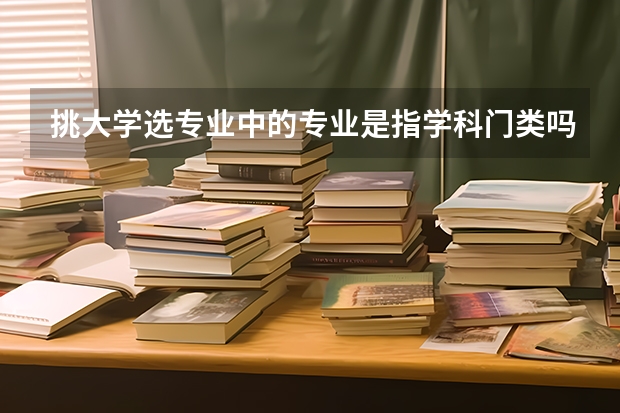 挑大学选专业中的专业是指学科门类吗？