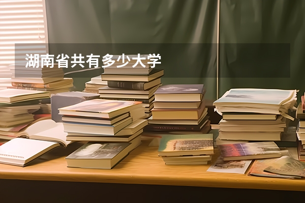 湖南省共有多少大学