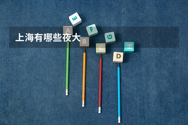 上海有哪些夜大