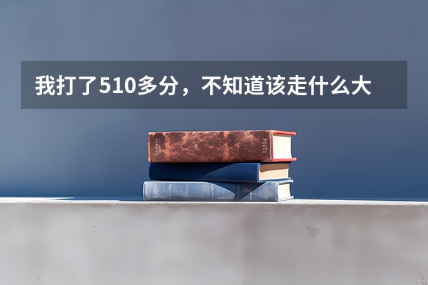 我打了510多分，不知道该走什么大学前辈吗给点意见吧